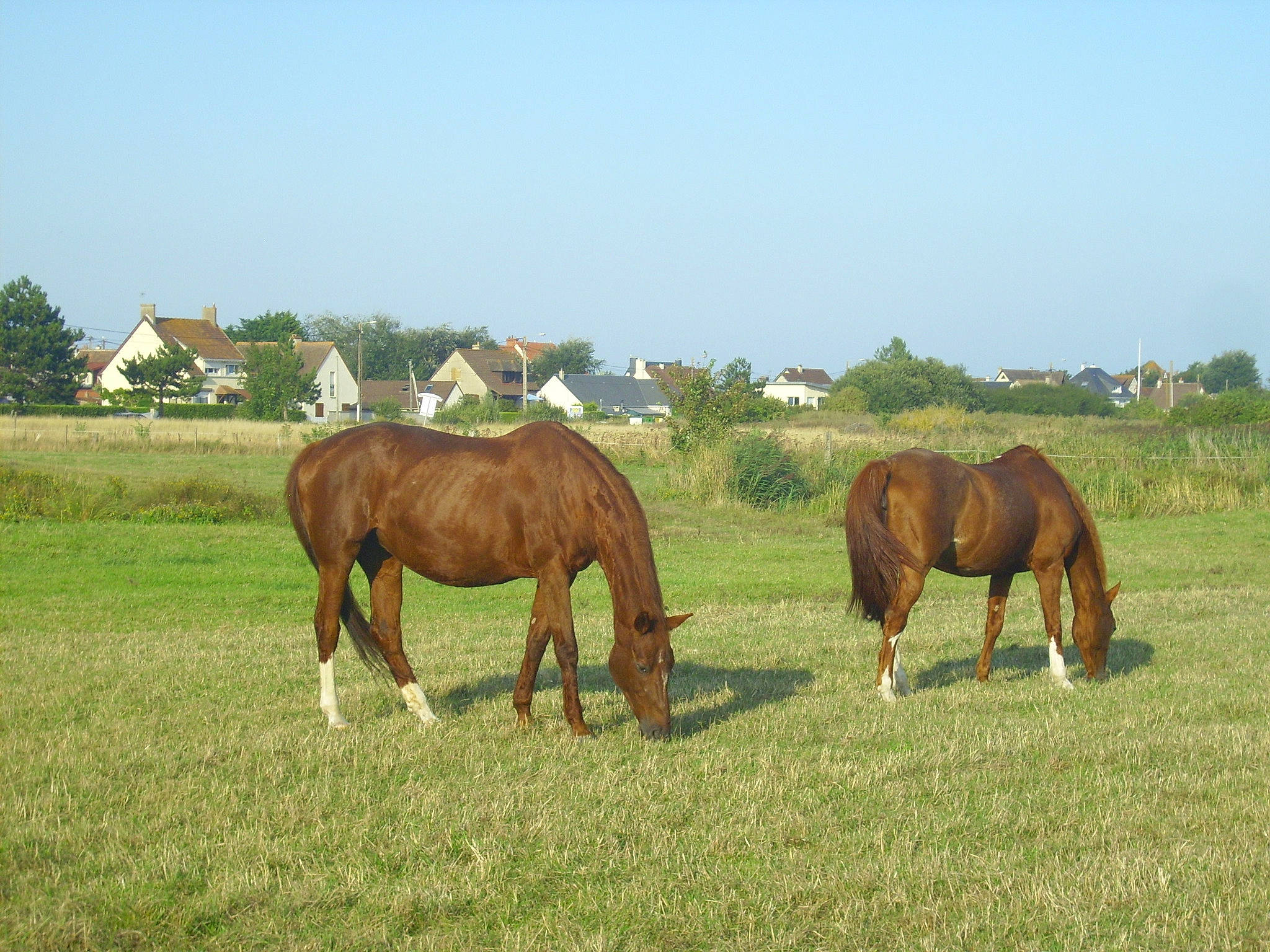 Glyphéa participe au concours pour gagner de l'argent avec cette photo :