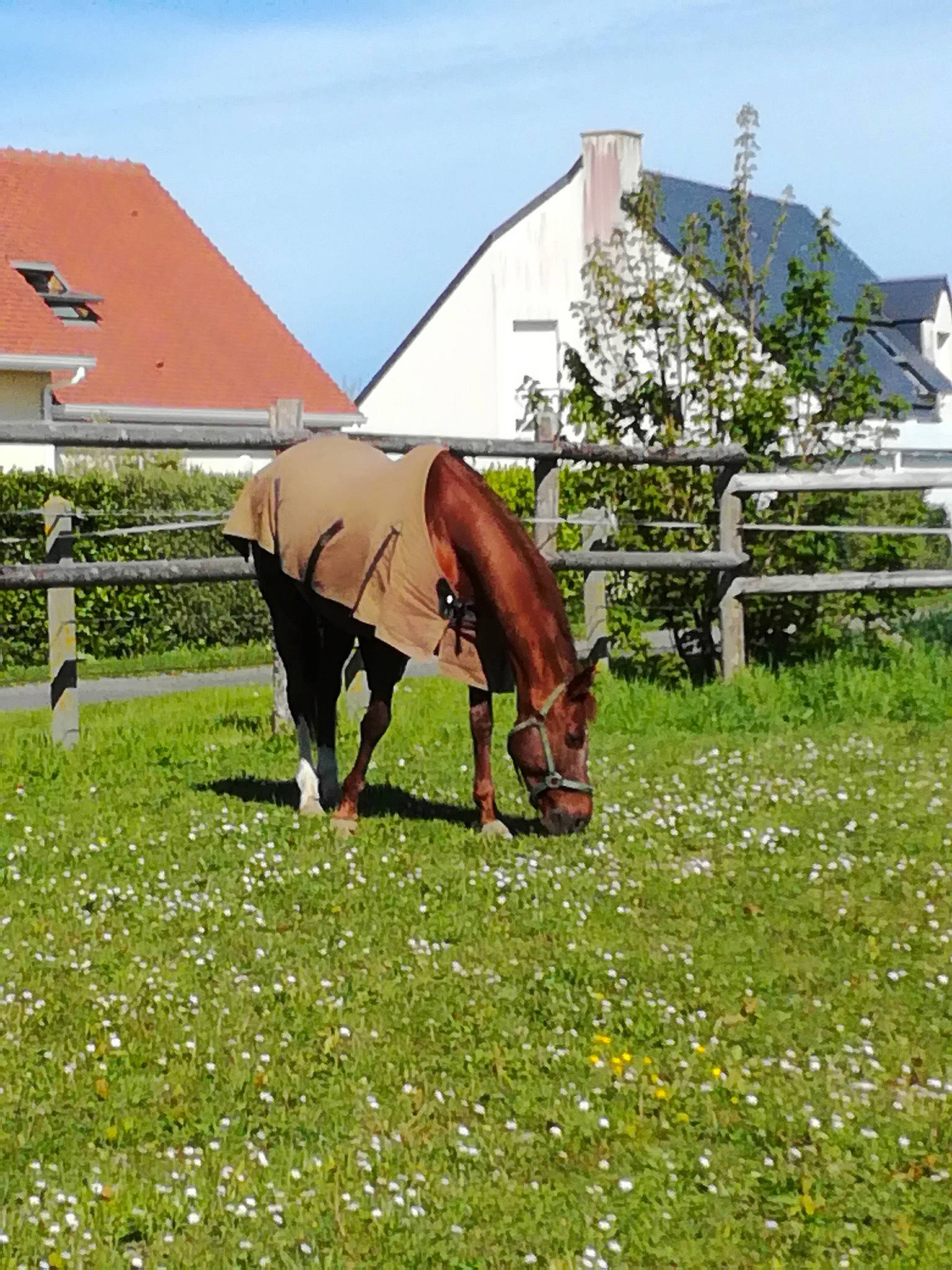 Glyphéa a rejoint le concours — aidez-le/la à gagner de superbes lots !