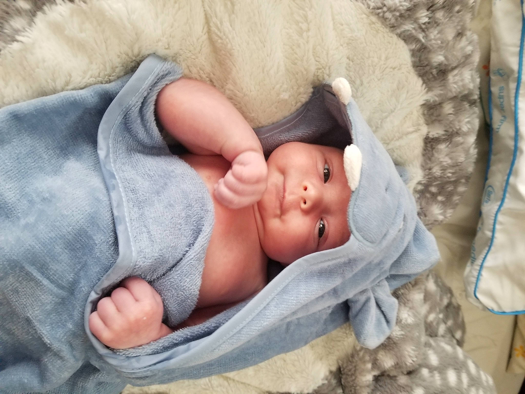 Maddox joined the competition — help win amazing prizes! arm, baby, baby_sleeping, child, comfort, face, finger, foot, fur, gesture, grass, hand, hat, head, headwear, human_body, linens, nap, person, skin