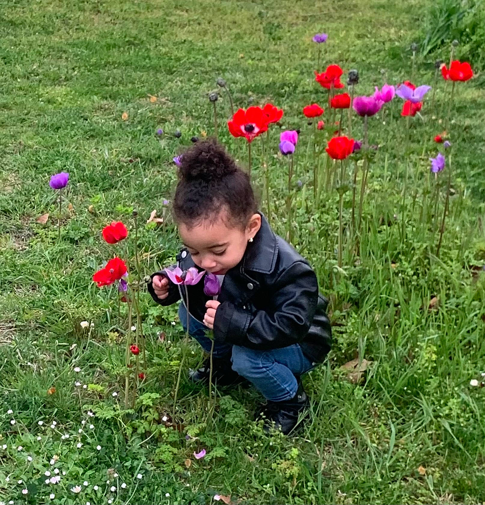 Lilya a rejoint le concours — aidez-le/la à gagner de superbes lots ! annual_plant, field, flower, flowering_plant, grass, grass_family, grassland, groundcover, happy, herbaceous_plant, lawn, meadow, natural_landscape, people_in_nature, person, petal, plant, rose_family, shrub, toddler
