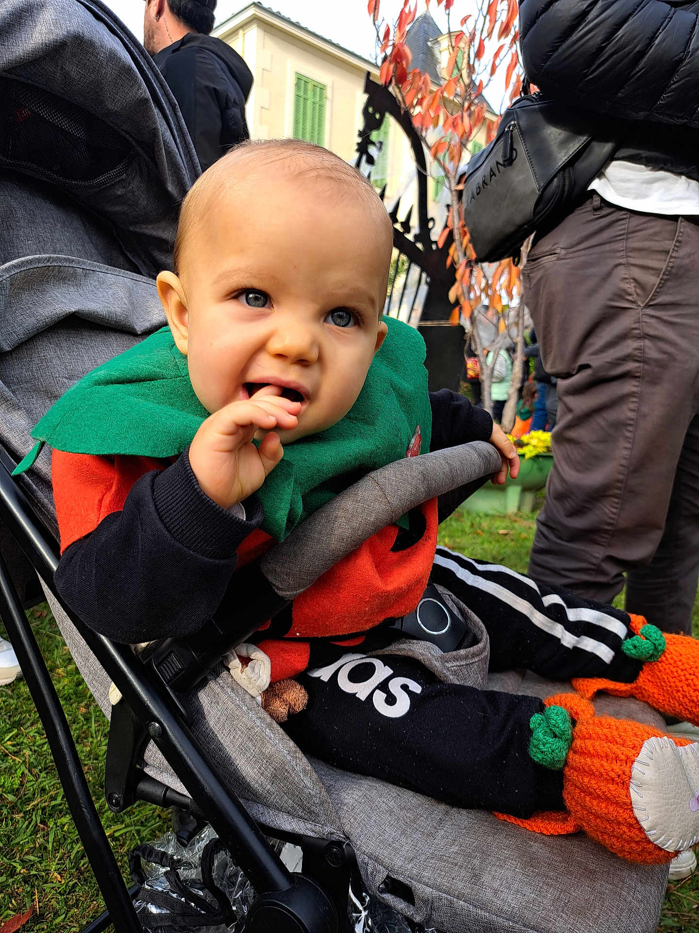 Mathys participe au concours pour gagner de l'argent avec cette photo : baby, stroller, child, outdoor, autumn, grass, people, clothing, pumpkin_booties, green_scarf, black_pants, orange_sweater, hand, face, blue_eyes, nibbling, person, jacket, background, fall_leaves