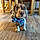 Pancho