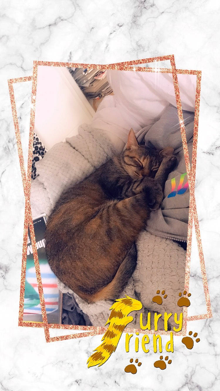 Naboo participe au concours pour gagner de l'argent avec cette photo : art, illustration, paper