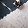 Aristo participe au concours pour gagner de l'argent avec cette photo : dog, slipper, floor, mat, indoor, pet, curious, brown, white, small_dog, tile_floor, household, domestic, animal, carpet, flooring, footwear, chewing, sniffing, room