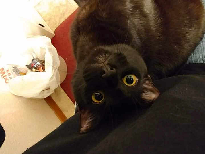 Spookers