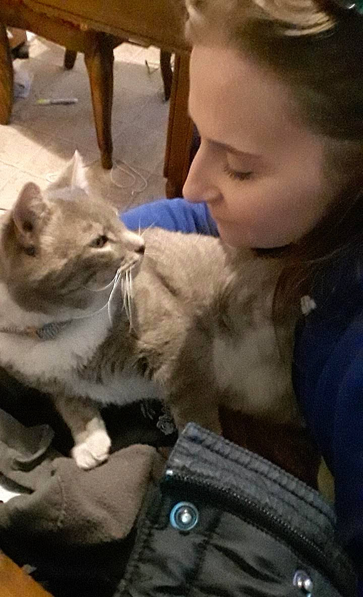 Mr. Gray joined the competition — help win amazing prizes! canidae, carnivore, cat, companion_dog, domestic_short_haired_cat, ear, fawn, felidae, fur, gesture, happy, hug, lap, paw, selfie, skin, small_to_medium_sized_cats, smile, snout, whiskers