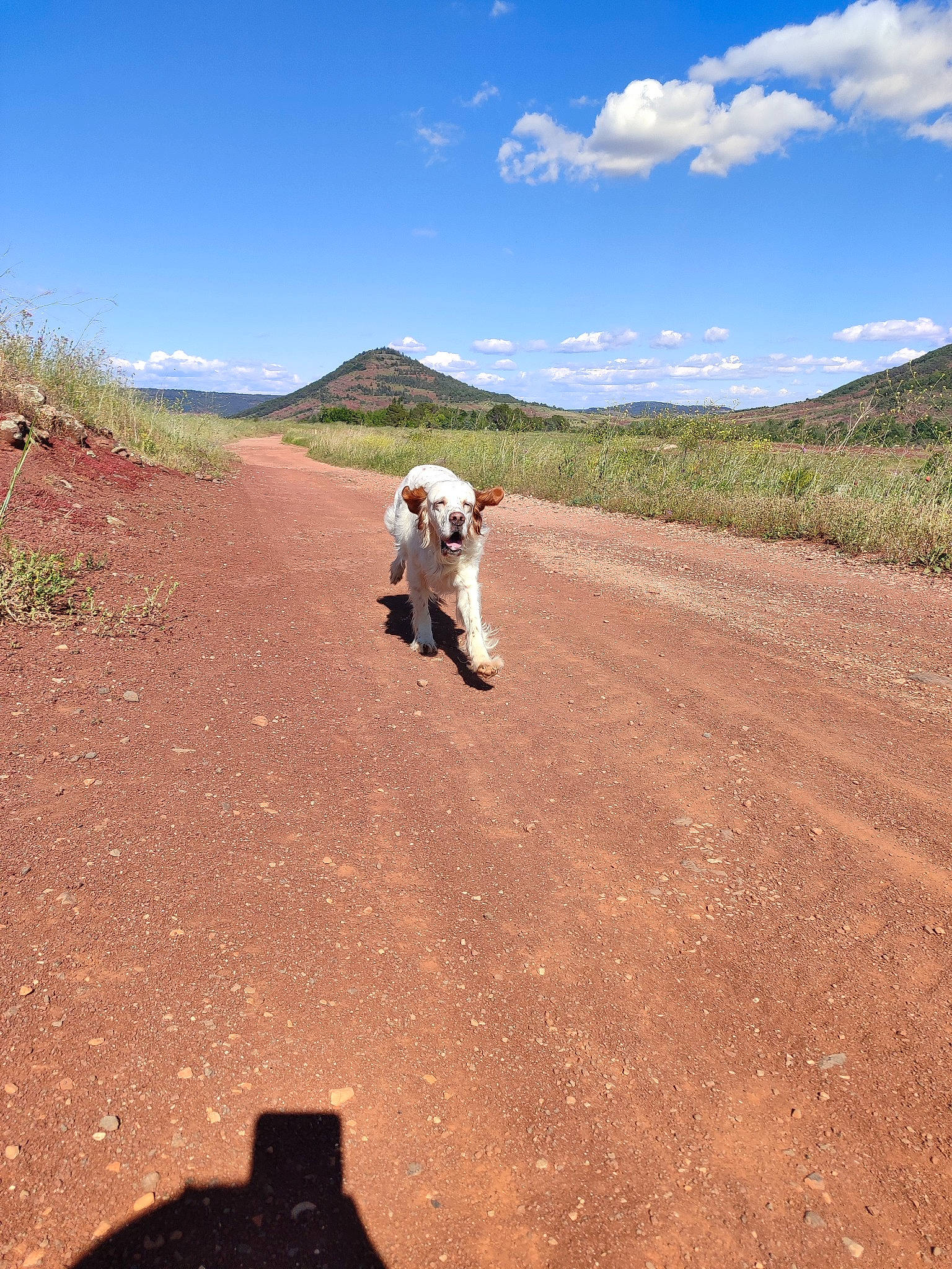Mangue participe au concours pour gagner de l'argent avec cette photo : aeolian_landform, asphalt, cloud, dirt_road, grass, grassland, hill, landscape, mountain, mountainous_landforms, people_in_nature, plain, plant, recreation, road, road_surface, sky, slope, tree, valley