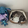 cat, sleeping, pet_bed, plush_toy, stuffed_animal, floor, indoor, tabby, striped, cozy, relaxing, cute, animal, soft, toy, blue, purple, minimalist, wall, resting