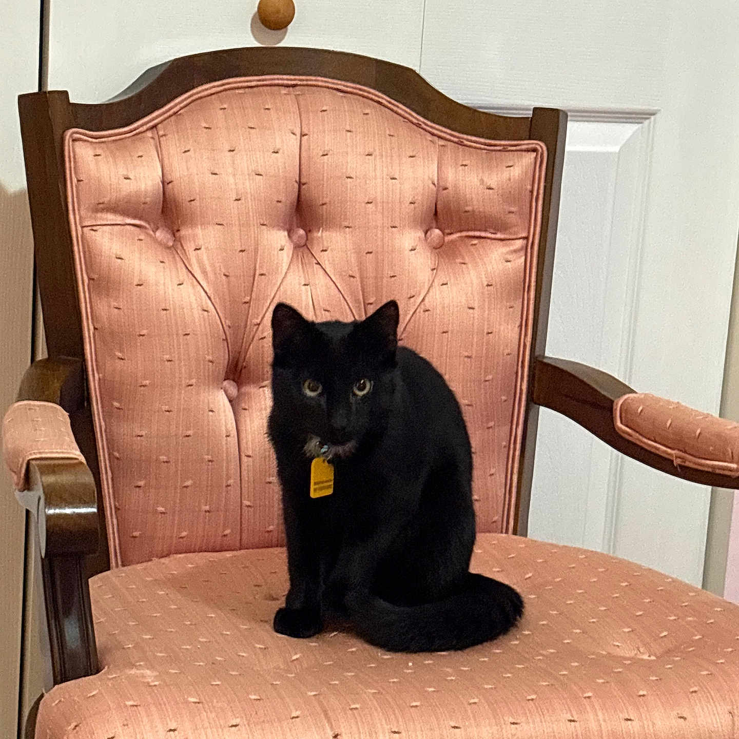 Figaro