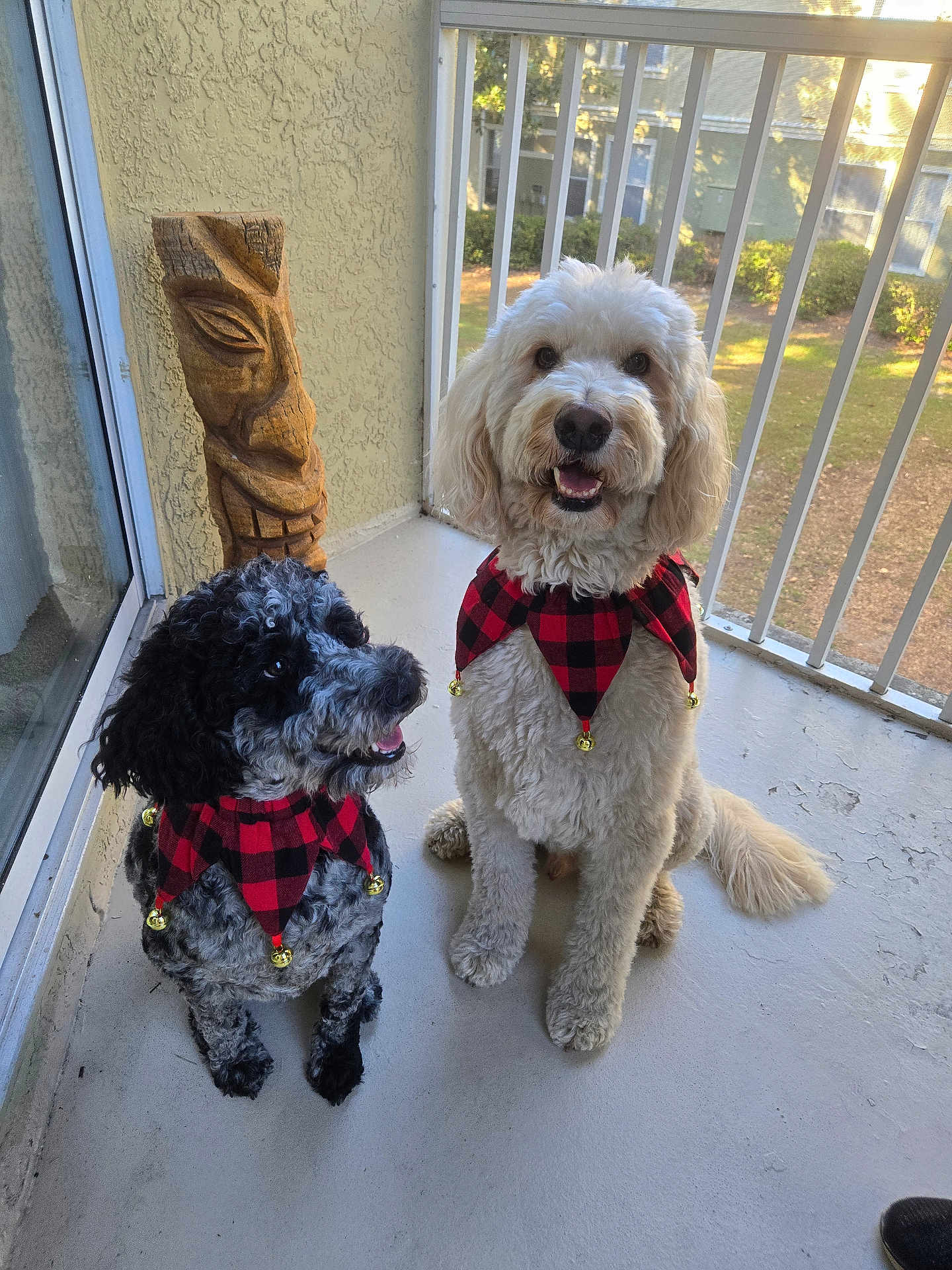 Hershey And Trixie is registered to the contest to win money with this photo: dog, two_dogs, plaid_collar, bells, balcony, tiki_statue, wooden_statue, sunlight, shadow, happy, fluffy, sitting, pet, furry, outdoor, railing, smiling, decor, window, fur