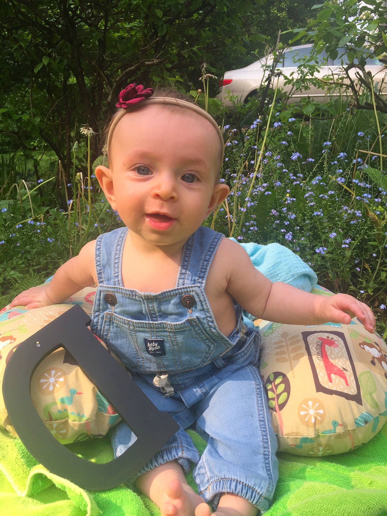 Rosemary is registered to the contest to win money with this photo: baby, baby_products, child, grass, person, play, sitting, smile, summer, toddler, tree, vacation