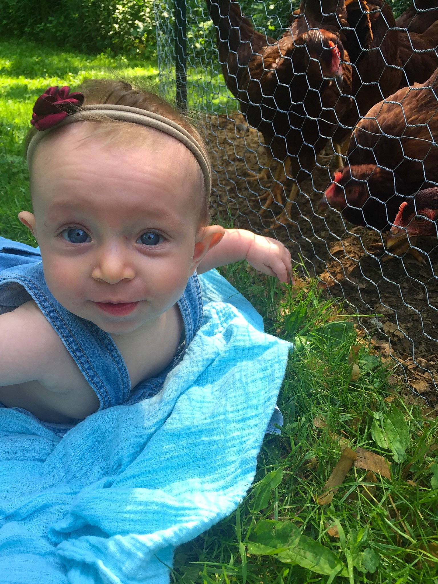 Rosemary joined the competition — help win amazing prizes! adaptation, baby, child, eye, face, fawn, garden, grass, leaf, net, person, plant, play, smile, summer, toddler, tree, vacation