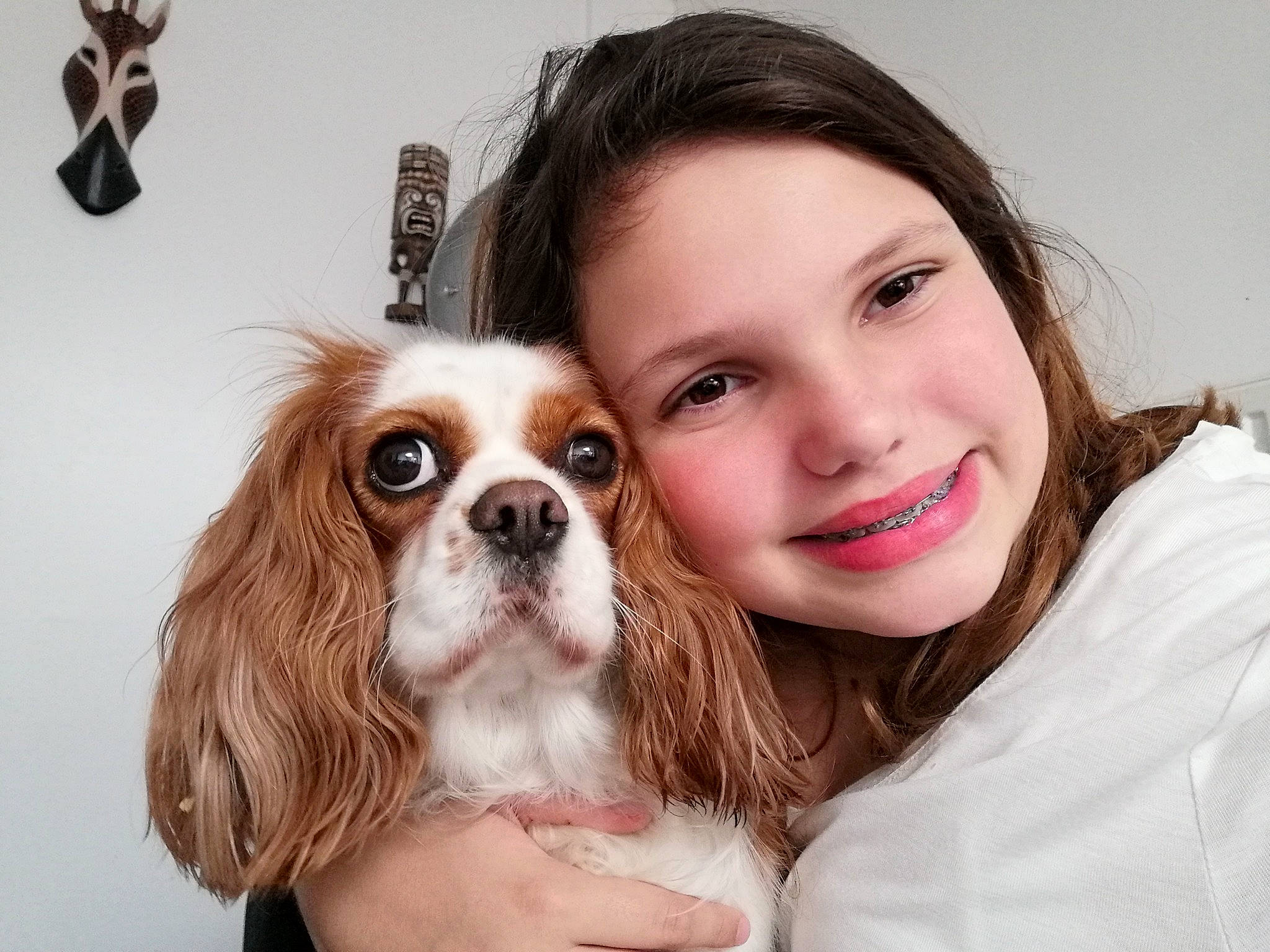 Désirée a rejoint le concours — aidez-le/la à gagner de superbes lots ! carnivore, companion_dog, dog, dog_breed, dog_supply, eye, fawn, happy, iris, king_charles_spaniel, liver, mammal, nose, skin, smile, spaniel, toy_dog, vertebrate, white, working_animal