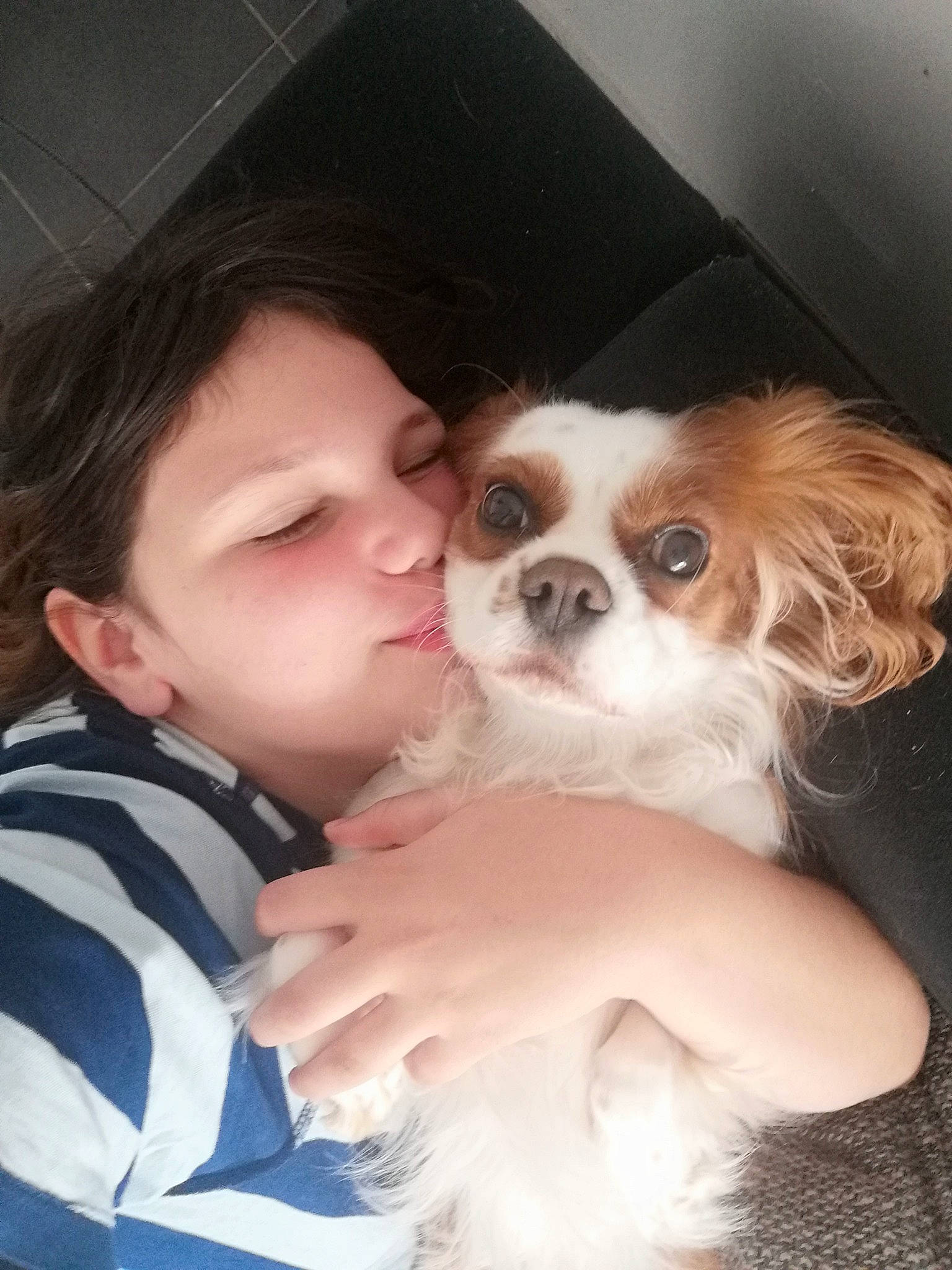 Désirée participe au concours pour gagner de l'argent avec cette photo : baby, canidae, carnivore, companion_dog, dog, dog_breed, dog_supply, fawn, fun, fur, gesture, hair, happy, liver, skin, snout, spaniel, sporting_group, toy_dog, working_animal