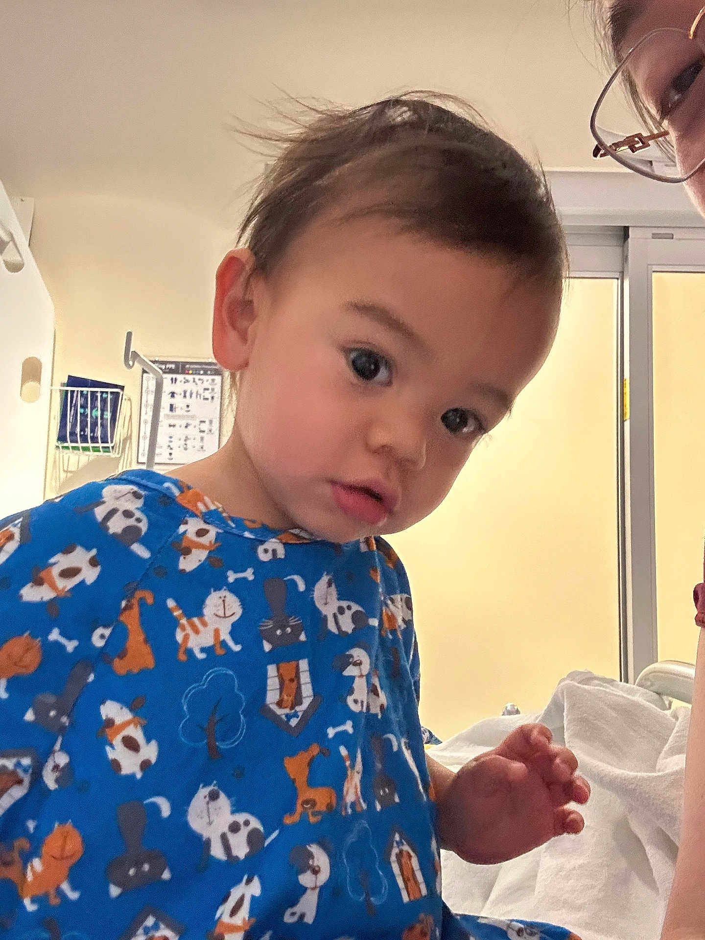 Arturo is registered to the contest to win money with this photo: toddler, child, blue_shirt, animal_print, indoor, curious, face, person, portrait, hair, hand, bed, blanket, adult, glasses, window, daylight, skin, expression, candid