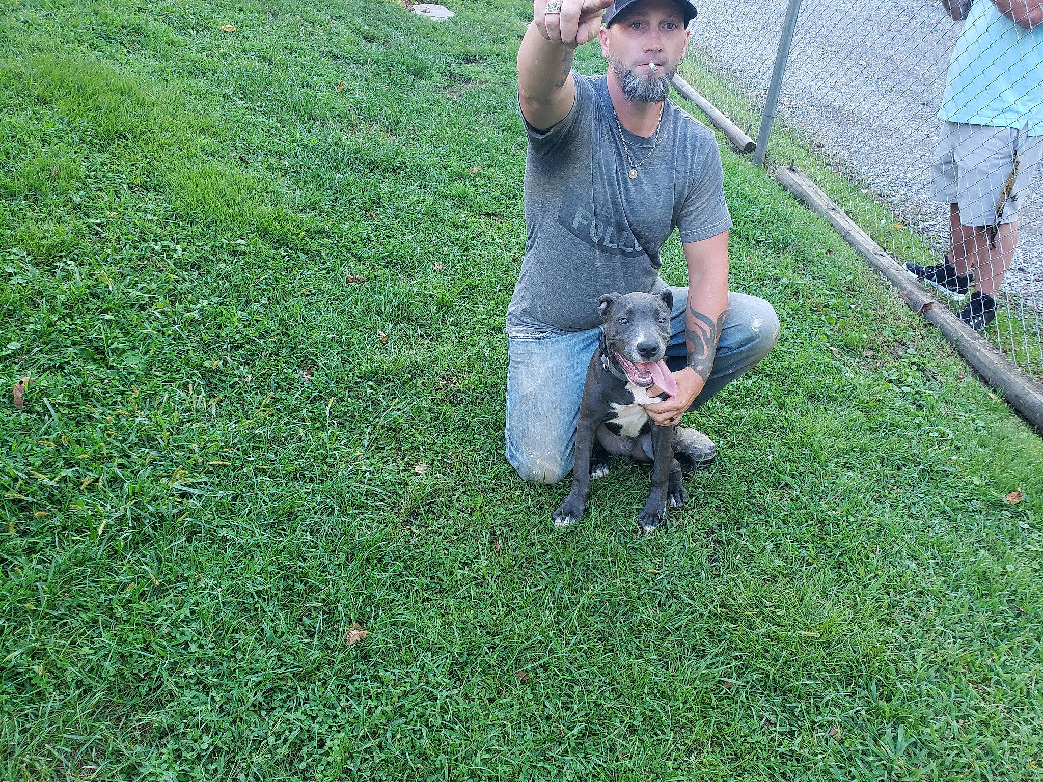 Bane joined the competition — help win amazing prizes! carnivore, companion_dog, dog, dog_breed, dog_walking, fawn, grass, grassland, green, groundcover, hat, leash, plant, recreation, shorts, sitting, soil, sporting_group, t_shirt, toy_dog