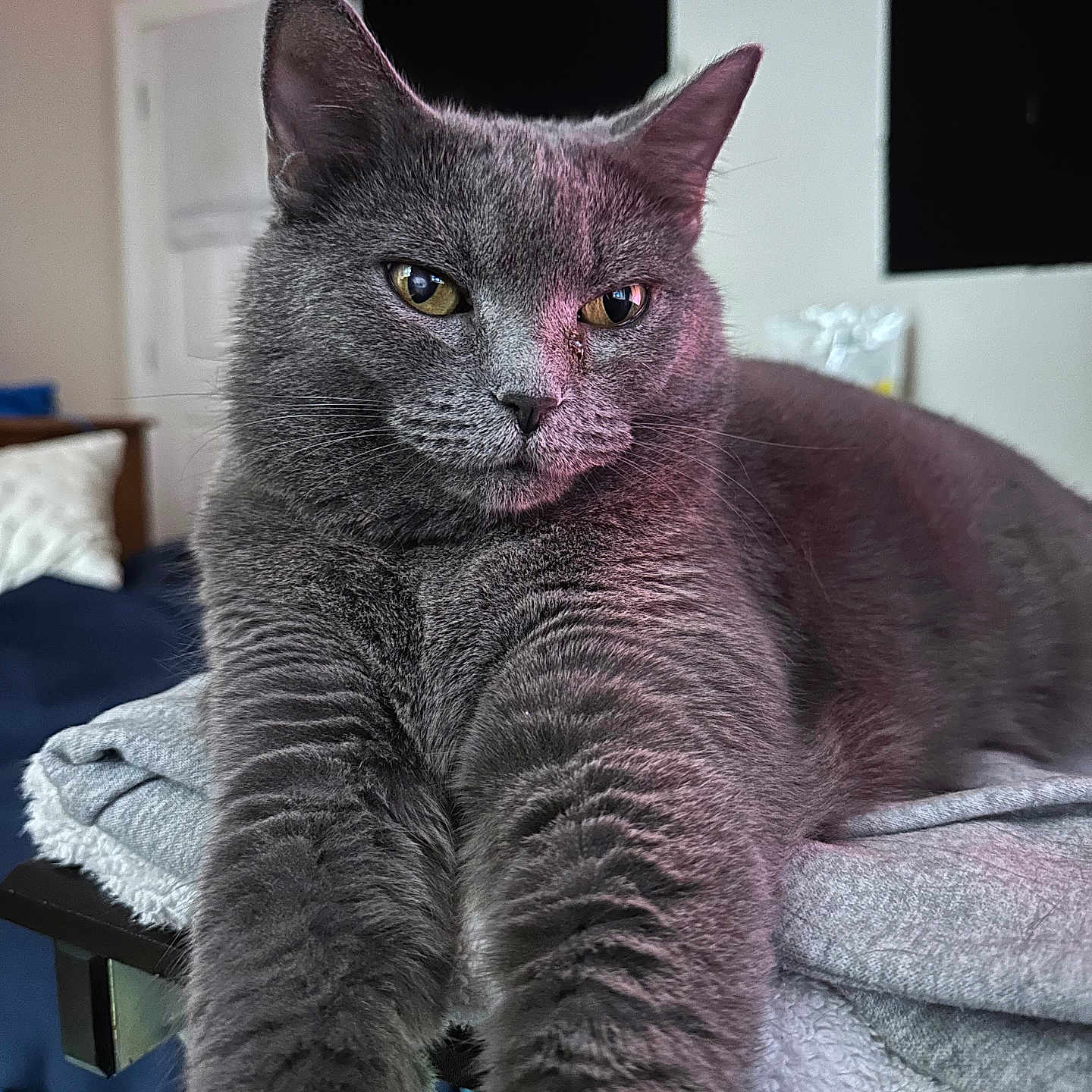 Tatiana