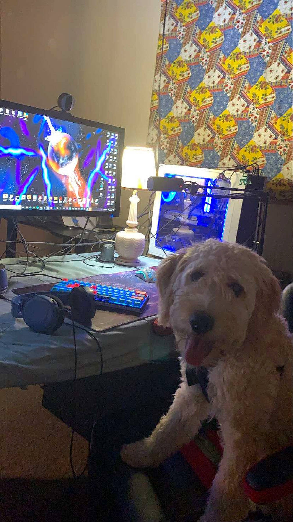Ayla joined the competition — help win amazing prizes! audio_equipment, blue, carnivore, chair, companion_dog, computer, computer_keyboard, desk, desktop_computer, dog, dog_breed, gadget, gamer, input_device, output_device, peripheral, personal_computer, plant, table, television_set