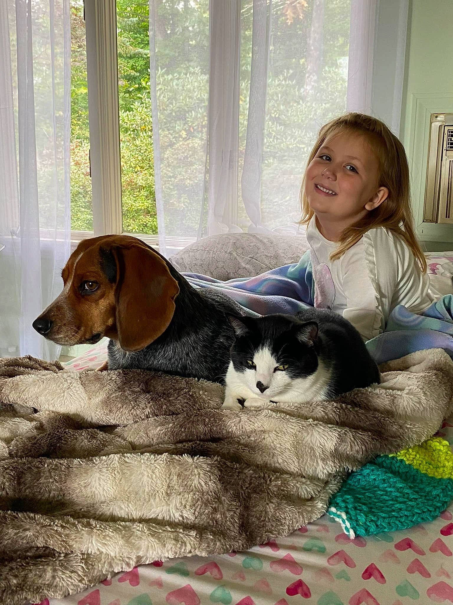 Melanie is registered to the contest to win money with this photo: canidae, carnivore, cat, chair, comfort, companion_dog, dog, dog_breed, dog_supply, felidae, fur, hound, joy, linens, pattern, person, scent_hound, sitting, small_to_medium_sized_cats, smile