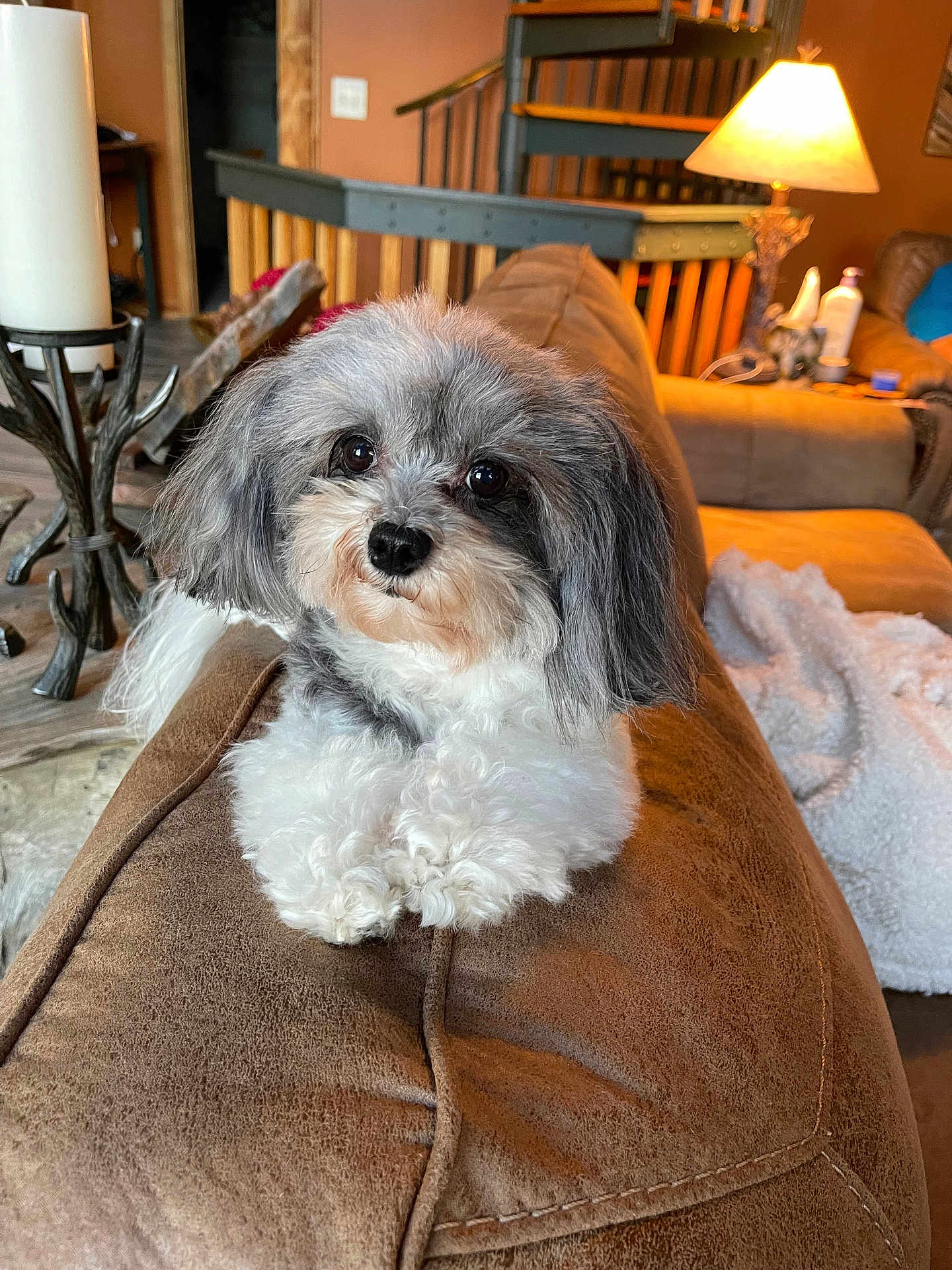 Bella