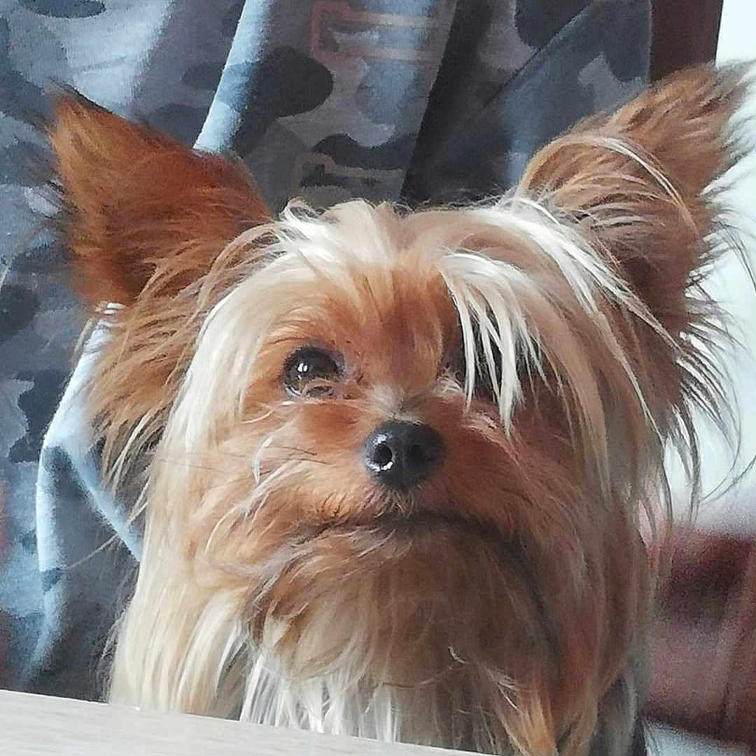 Ruby