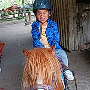 Hector a rejoint le concours — aidez-le/la à gagner de superbes lots ! animal, barn, blue_jacket, casual_clothing, child, farm, fence, happy, helmet, hoofed_animal, horse, mane, outdoor, pet, pony, riding, smile, stable, wooden_wall, young_person
