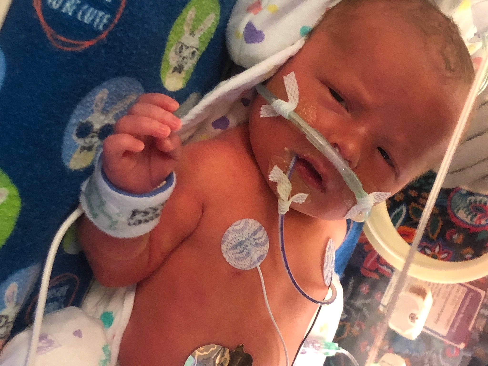 Easton is registered to the contest to win money with this photo: baby, birth, child, childbirth, mouth, person, smile