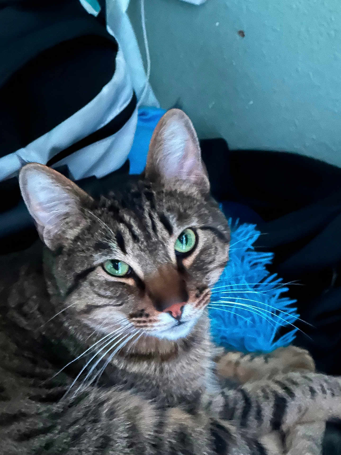 Tigger