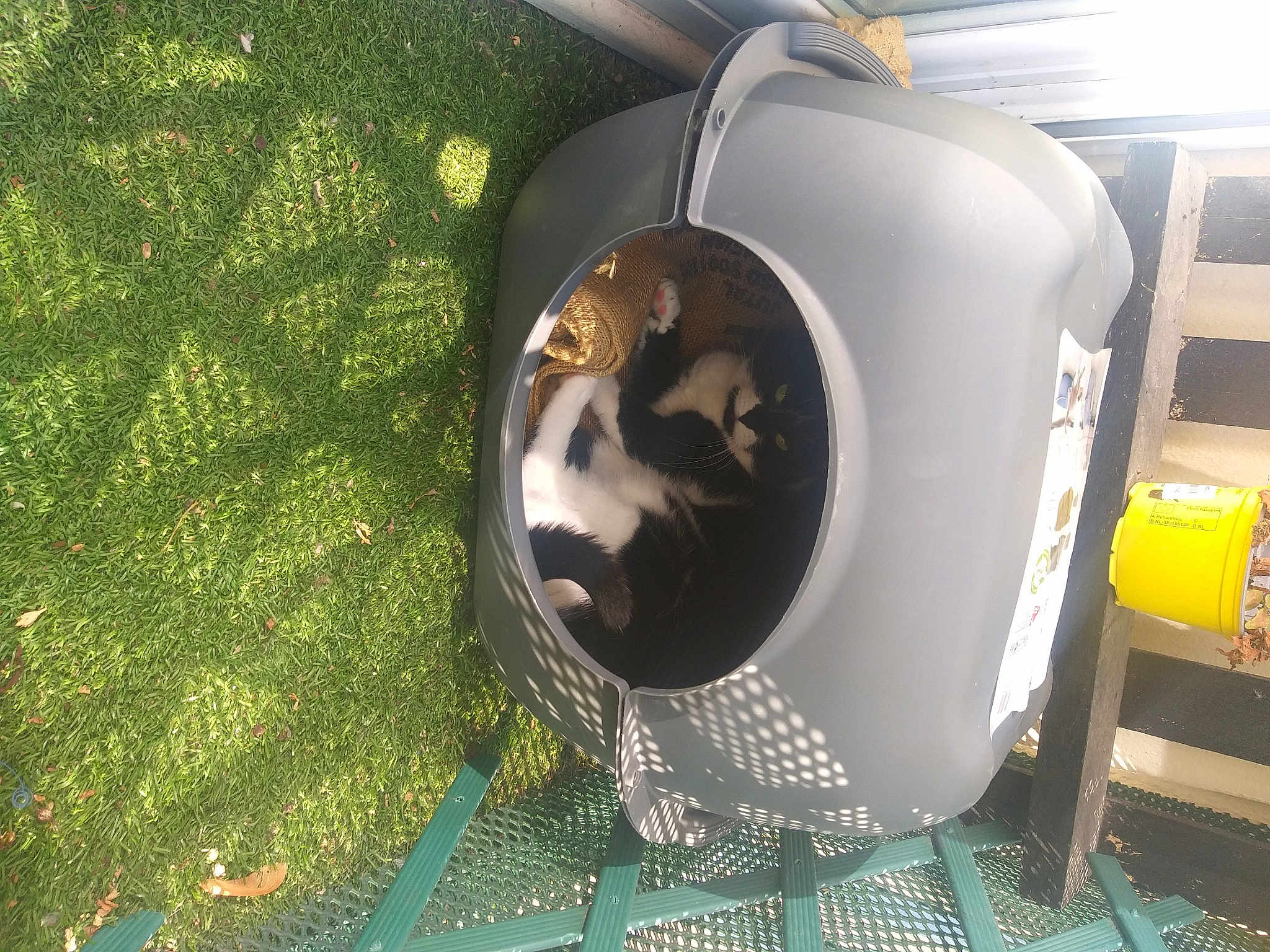 Vanille a rejoint le concours — aidez-le/la à gagner de superbes lots ! aerospace_engineering, aircraft, auto_part, automotive_design, automotive_exterior, automotive_lighting, automotive_tire, circle, classic_car, fender, gas, grass, green, hood, luxury_vehicle, machine, motor_vehicle, personal_protective_equipment, vehicle, vehicle_door