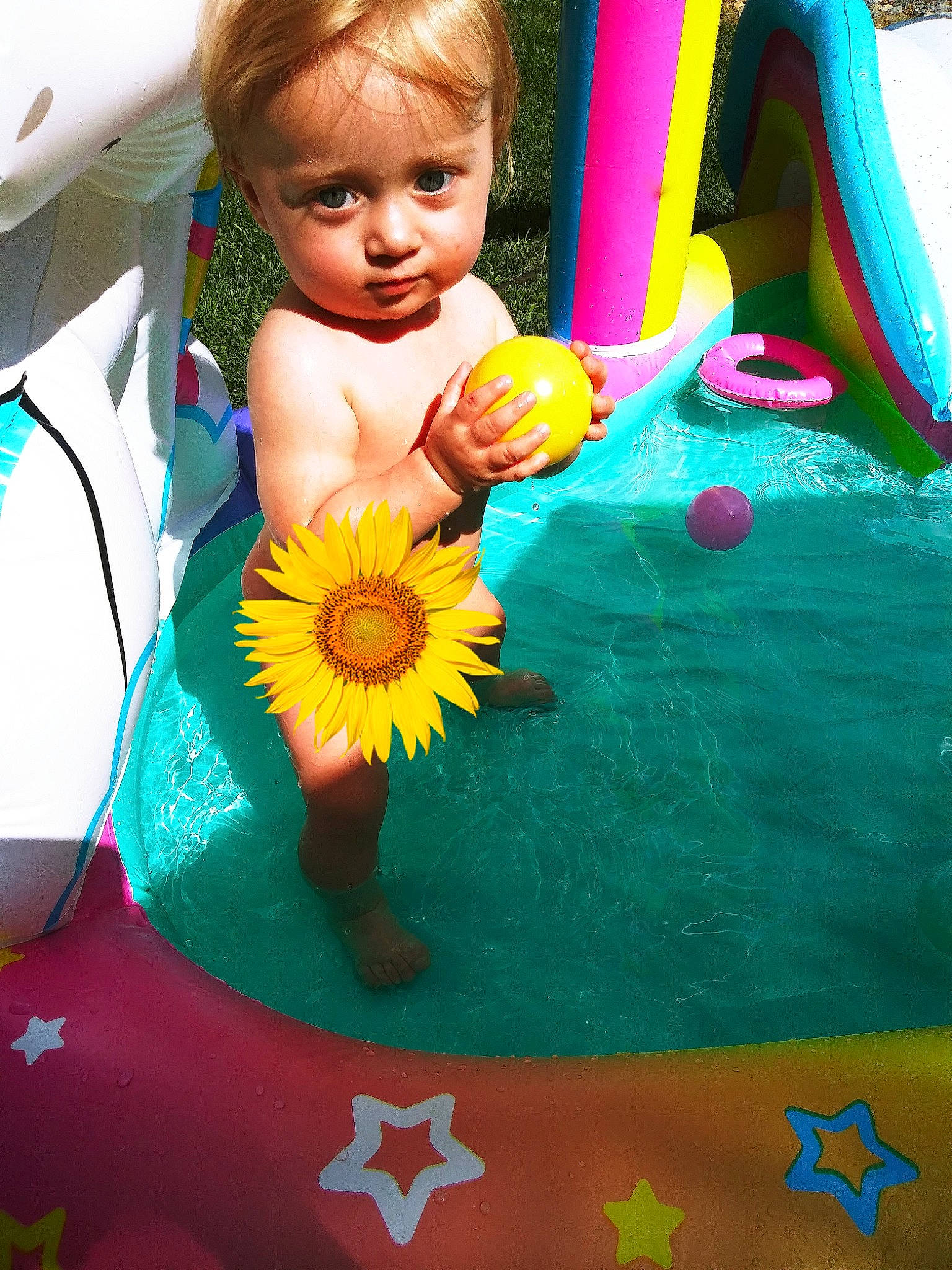 Evalyn joined the competition — help win amazing prizes! baby_playing_with_toys, beauty, blue, child, facial_expression, flower, fun, grass, green, happy, leisure, people, person, photograph, plant, product, snapshot, summer, toddler, toy