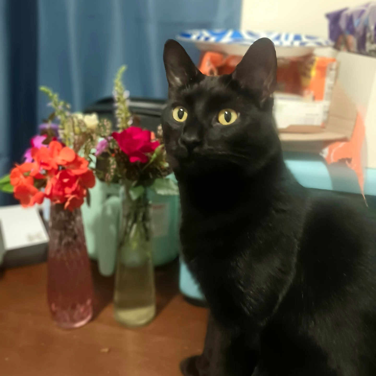 Loki