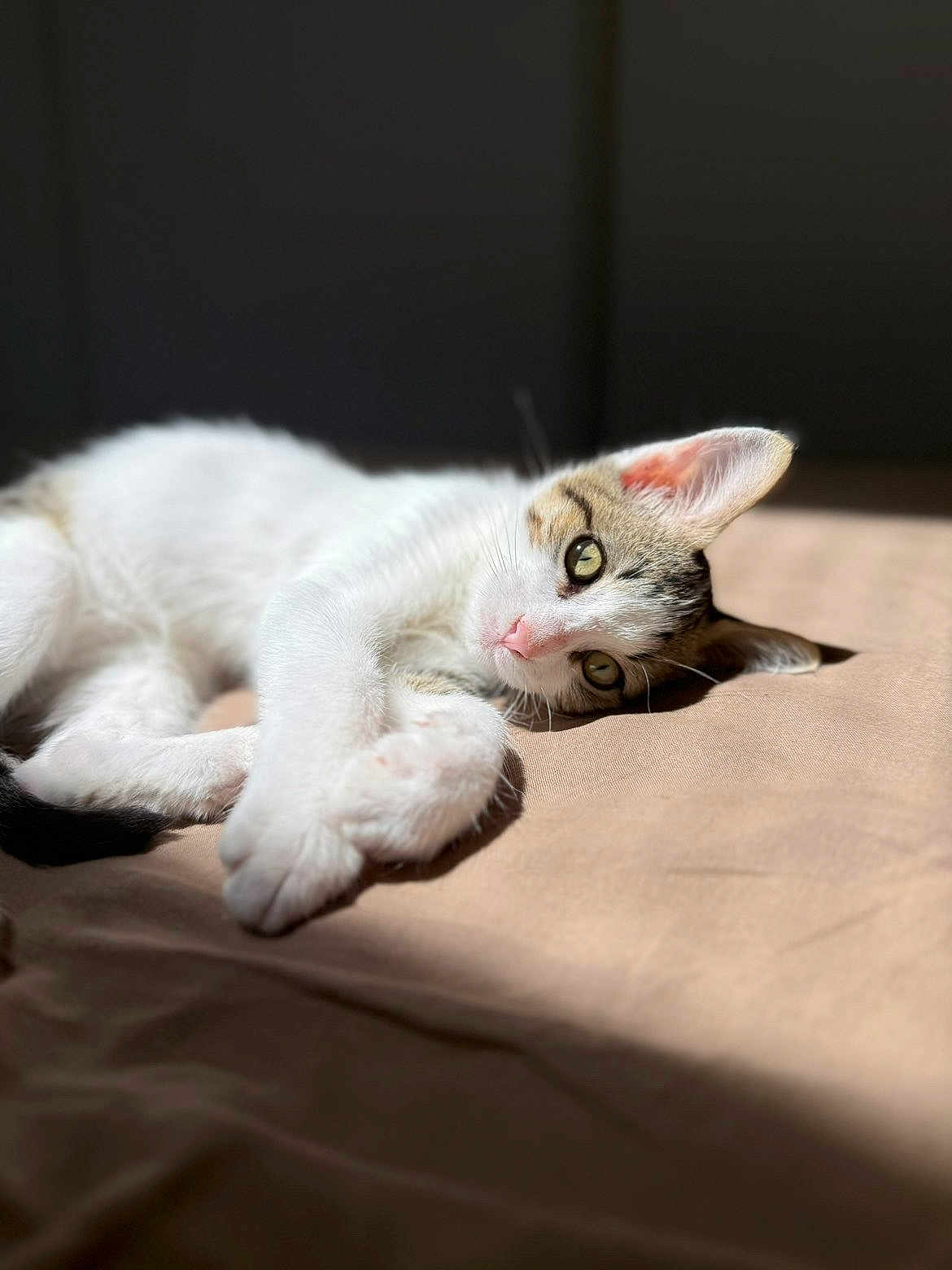 Loki
