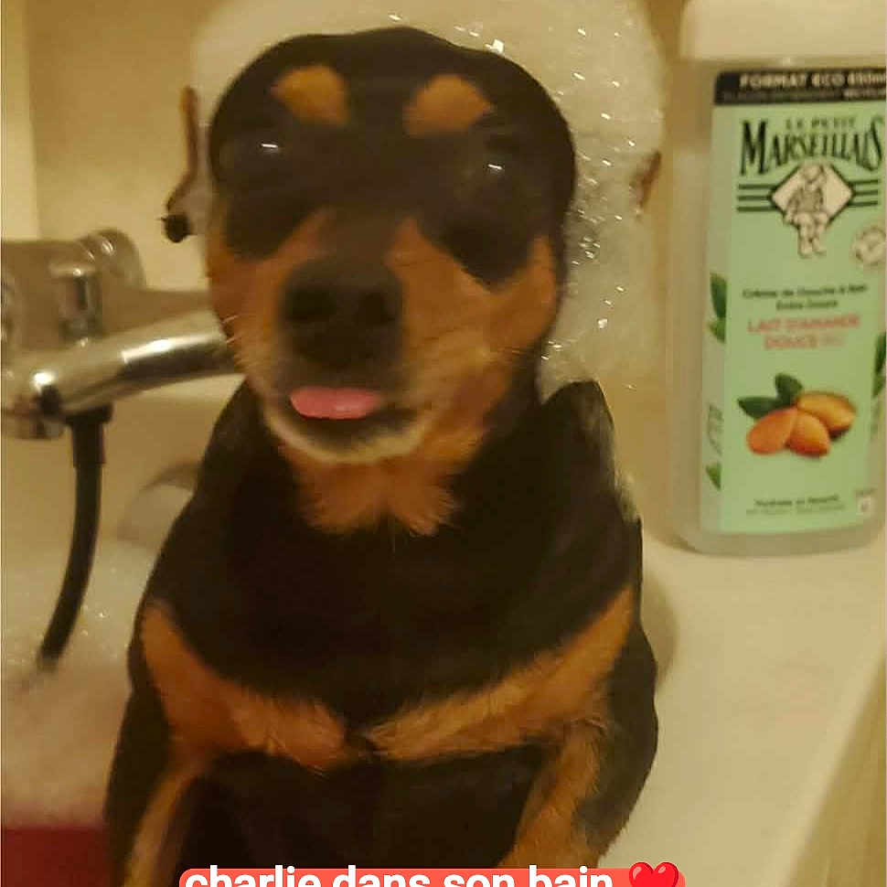 Charlie