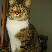 Twinny participe au concours pour gagner de l'argent avec cette photo :