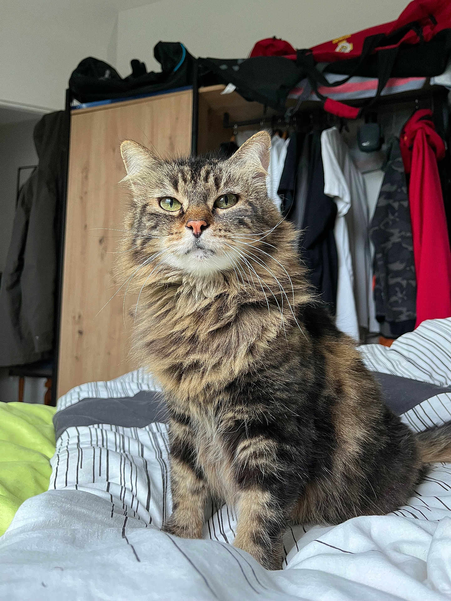 Minouchette
