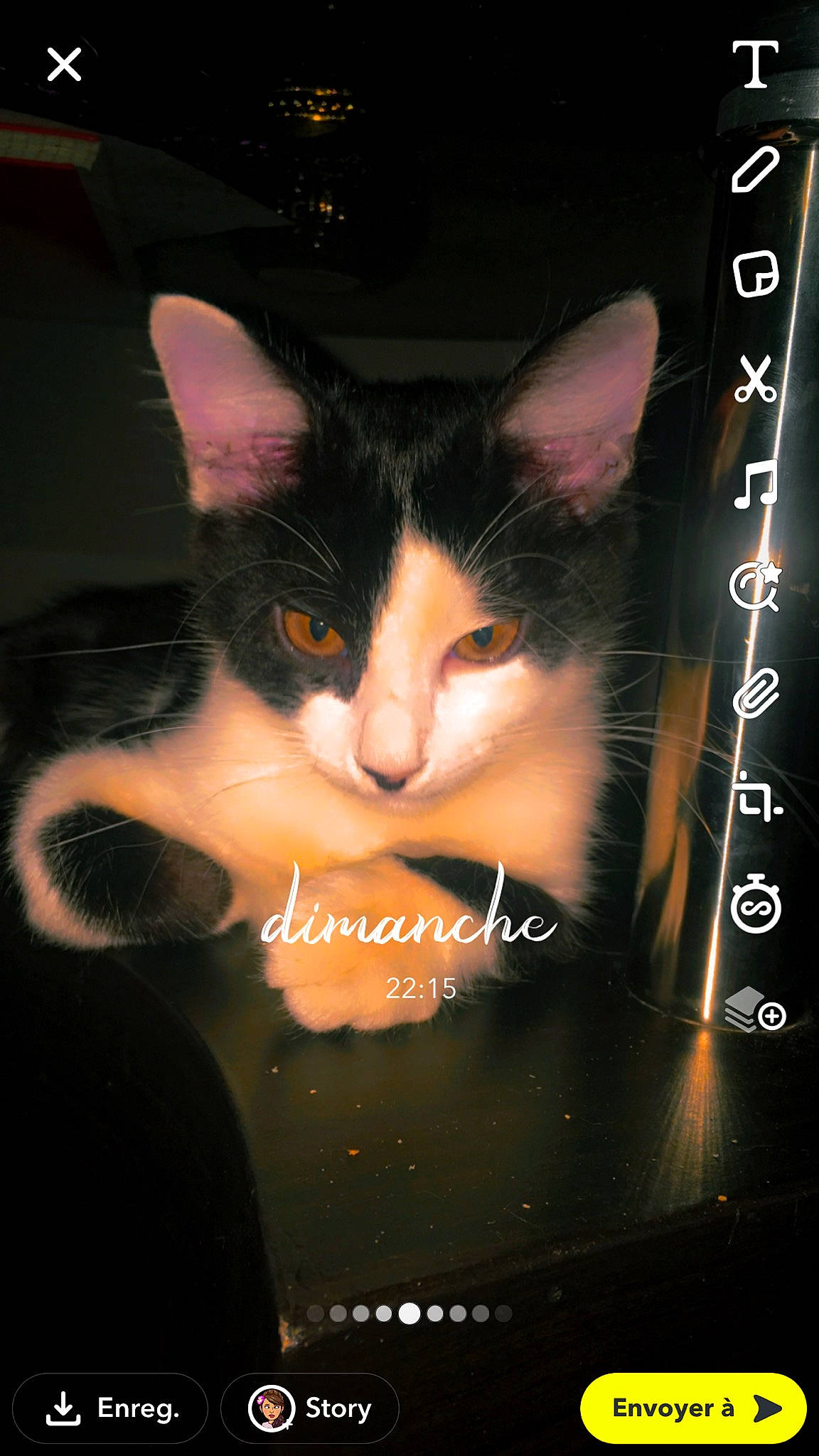 Dior a rejoint le concours — aidez-le/la à gagner de superbes lots ! carnivore, cat, darkness, domestic_short_haired_cat, felidae, fiction, font, fur, graphic_design, graphics, night, photo_caption, publication, room, small_to_medium_sized_cats, snout, space, tail, whiskers