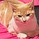 Buttercup