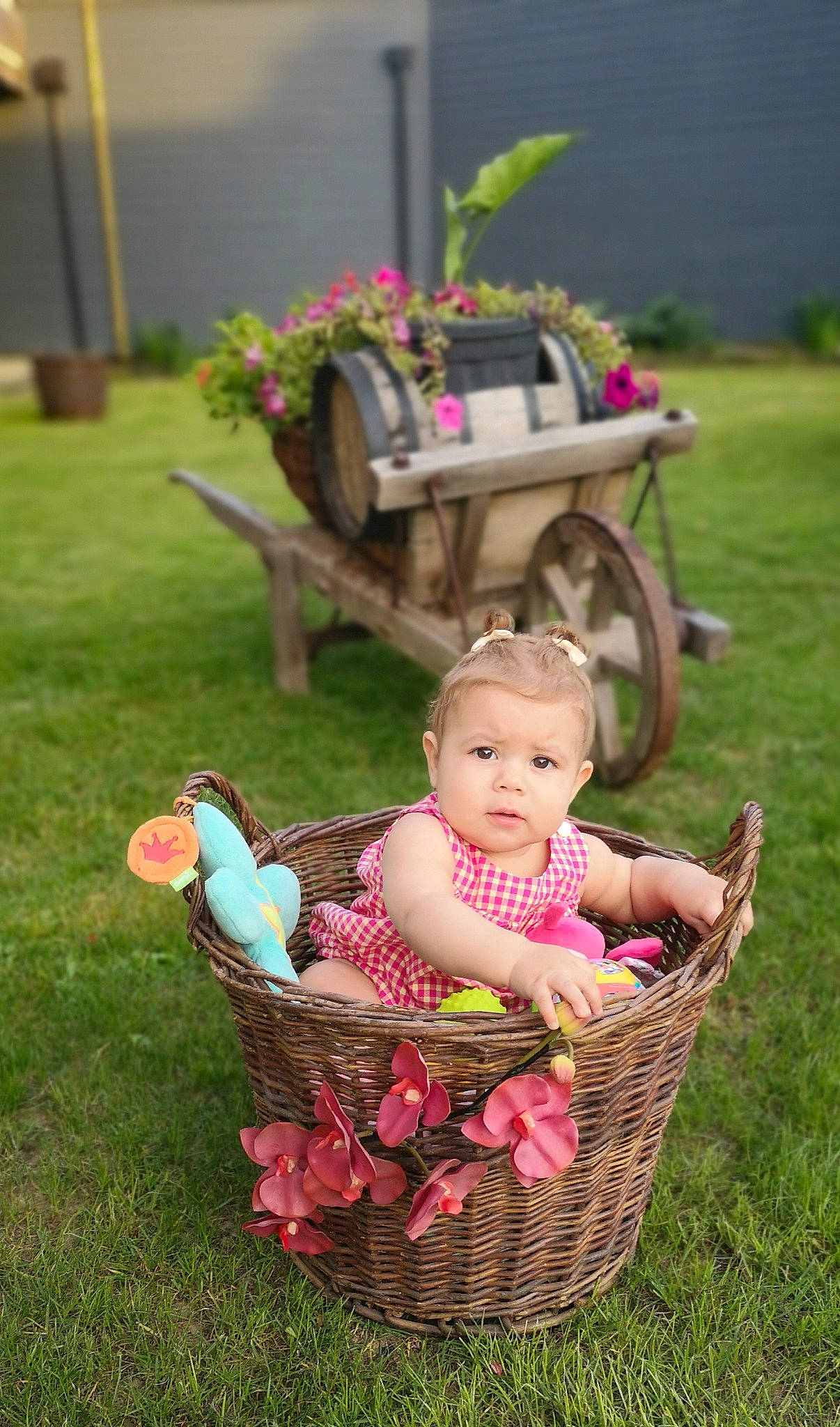 Sabrina a rejoint le concours — aidez-le/la à gagner de superbes lots ! baby, baby_products, backyard, basket, child, easter, grass, lawn, person, pink, plant, product, toddler, vehicle, wheelbarrow, wicker, yard