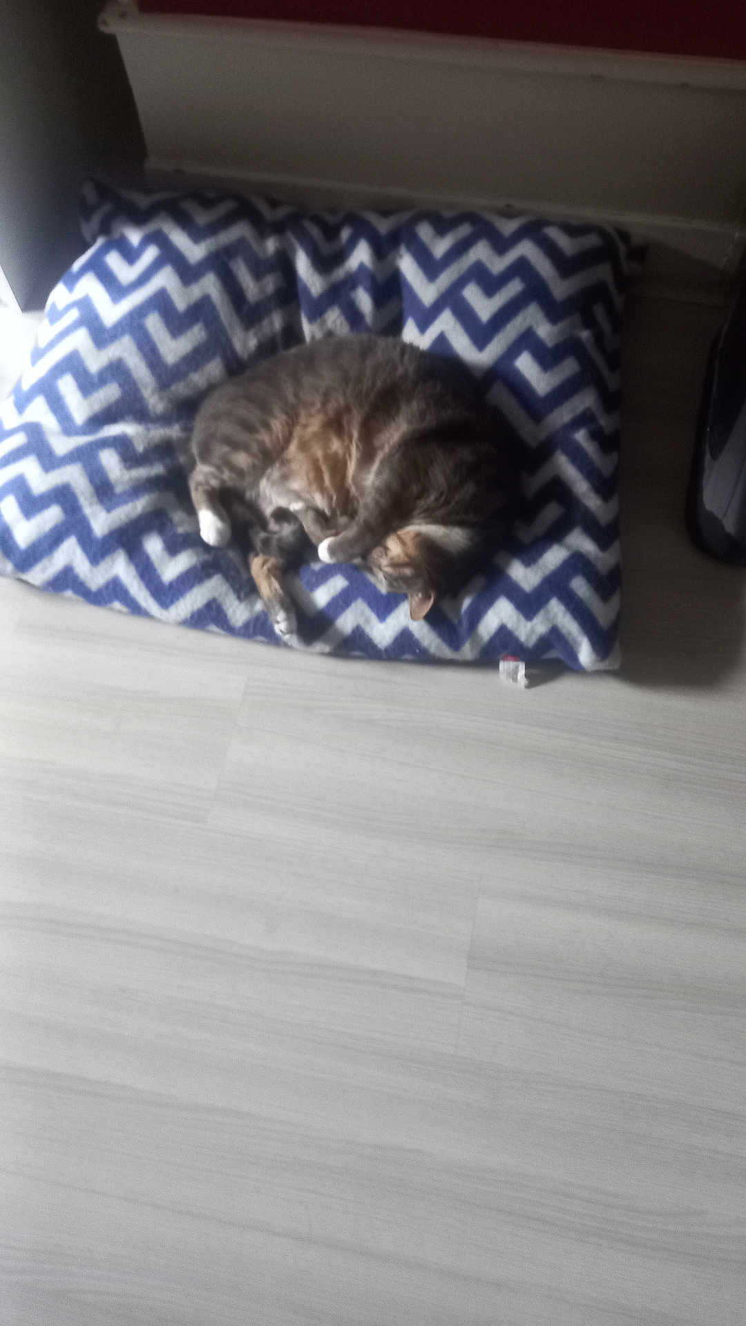 Orson