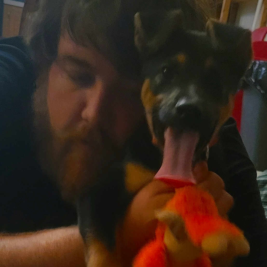 Buddy joined the competition — help win amazing prizes! animal, cabinet, canine, clothing, couch, dog, face, footwear, furniture, head, hound, indoors, person, pet, photography, plush, portrait, puppy, shoe, toy