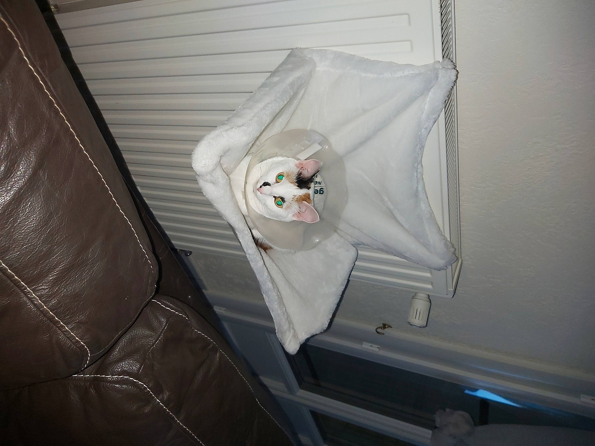 Siska participe au concours pour gagner de l'argent avec cette photo : audio_equipment, ceiling, comfort, couch, electrical_wiring, gas, linens, plastic, room, vehicle_door, wire, wood