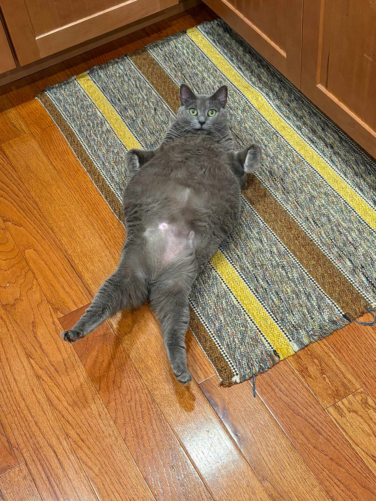 Maggie Mae