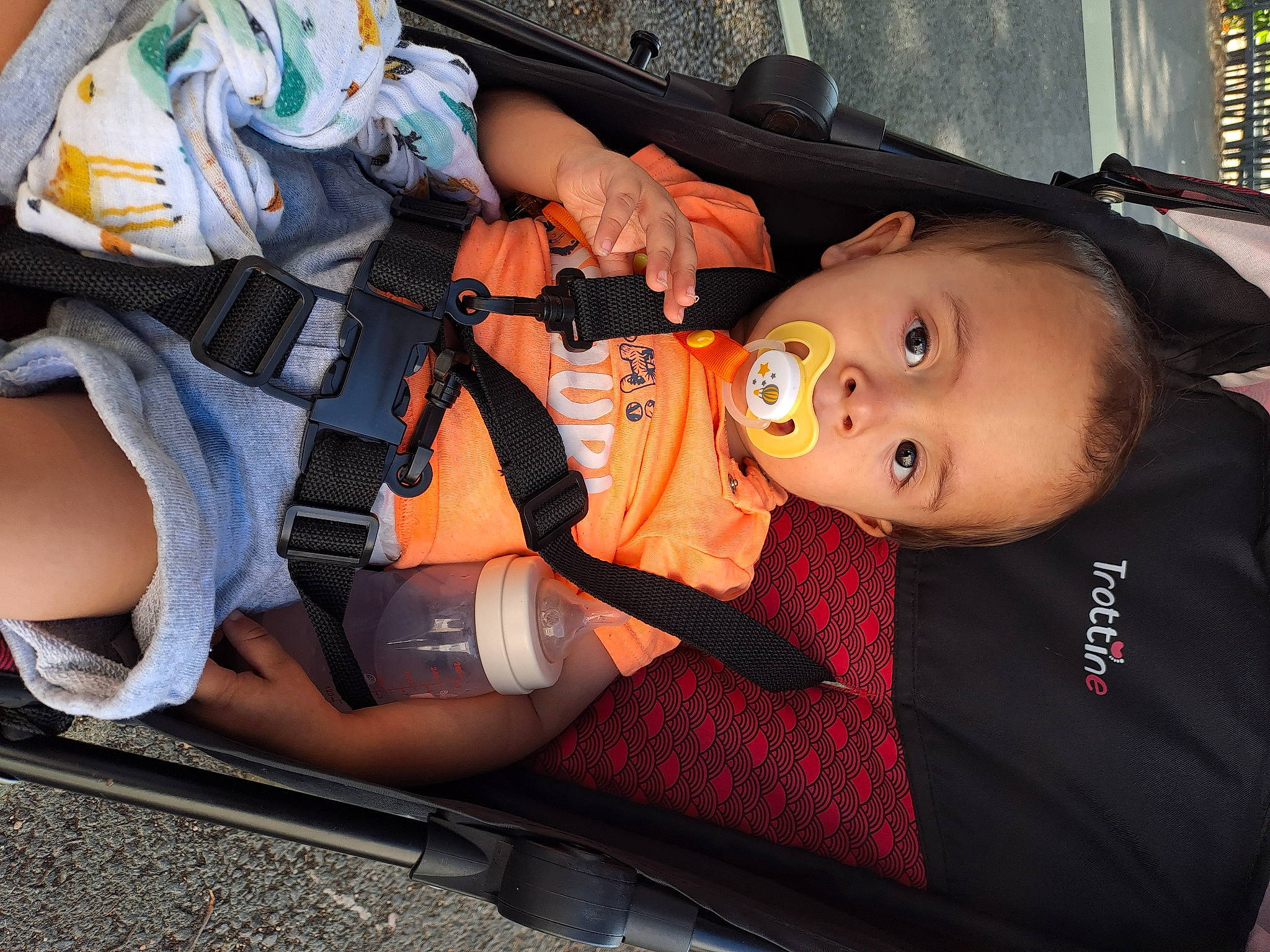 Timeo participe au concours pour gagner de l'argent avec cette photo : auto_part, baby, baby_carriage, baby_products, baby_toddler_clothing, bag, baggage, car_seat, carmine, child, comfort, fun, human_leg, luggage_and_bags, orange, person, personal_protective_equipment, toddler, trunk, vehicle_door