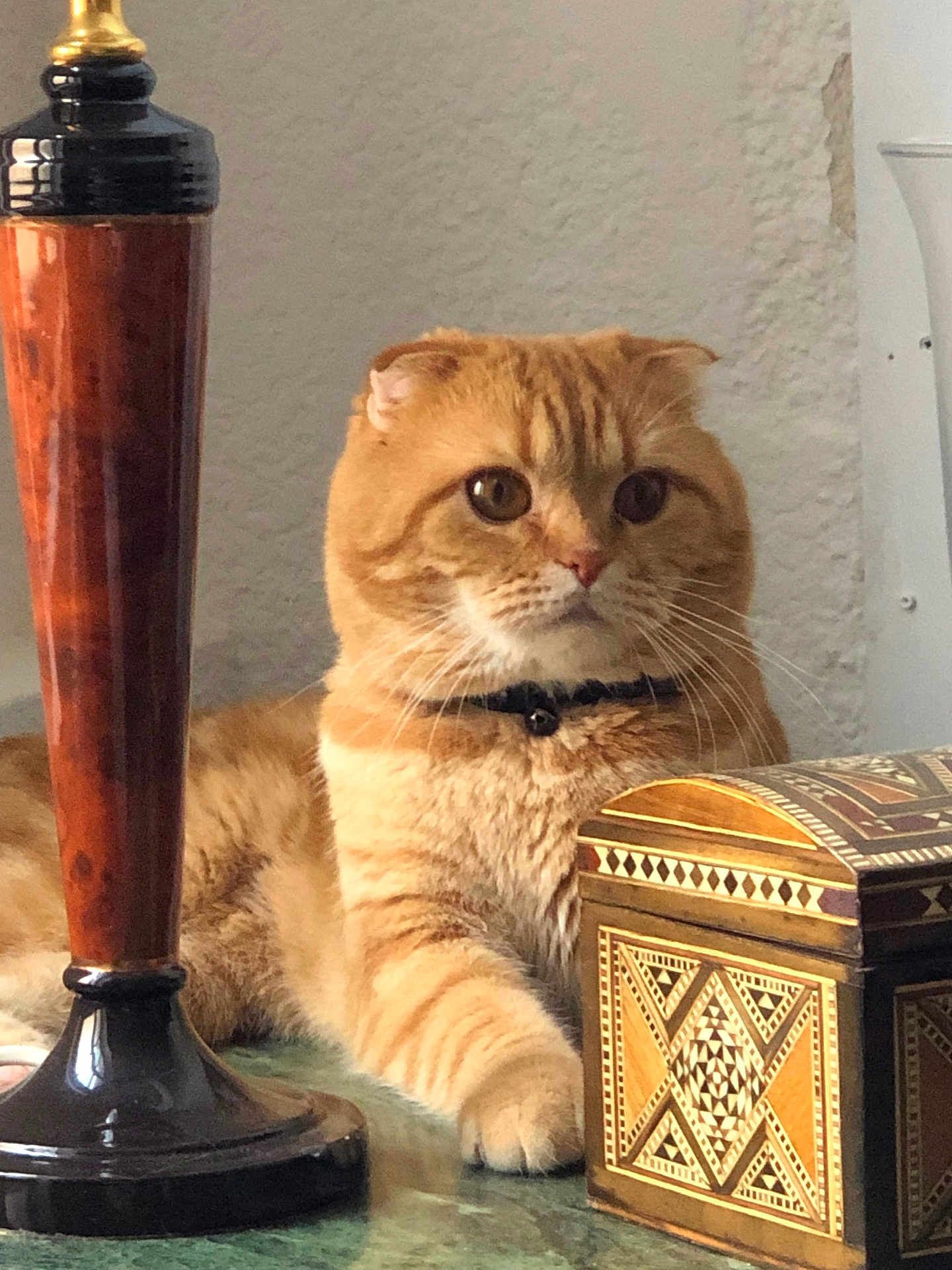 Archie