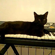 Litchi participe au concours pour gagner de l'argent avec cette photo :