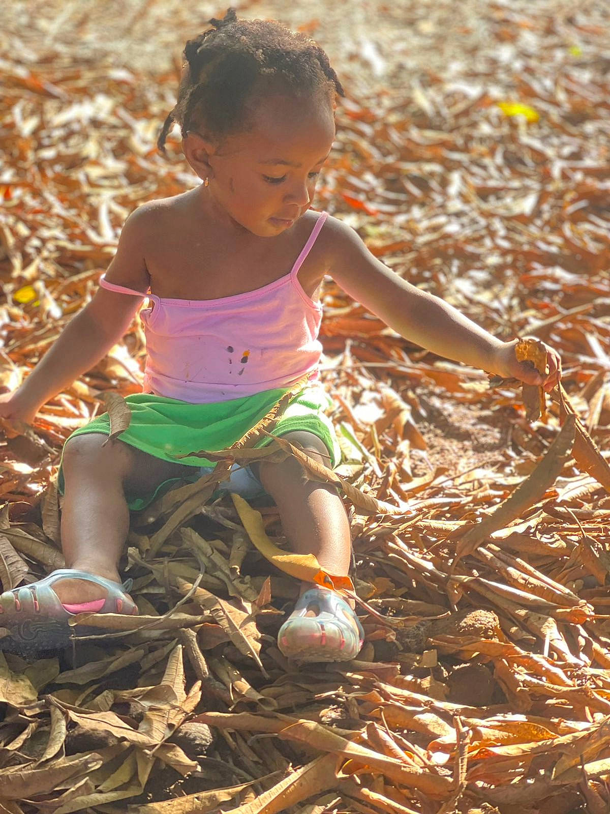 Shanys participe au concours pour gagner de l'argent avec cette photo : adaptation, beauty, child, fun, grass, happy, human_leg, leaf, leisure, nature, people_in_nature, person, shorts, smile, soil, spring, summer, sunlight, thigh, toddler