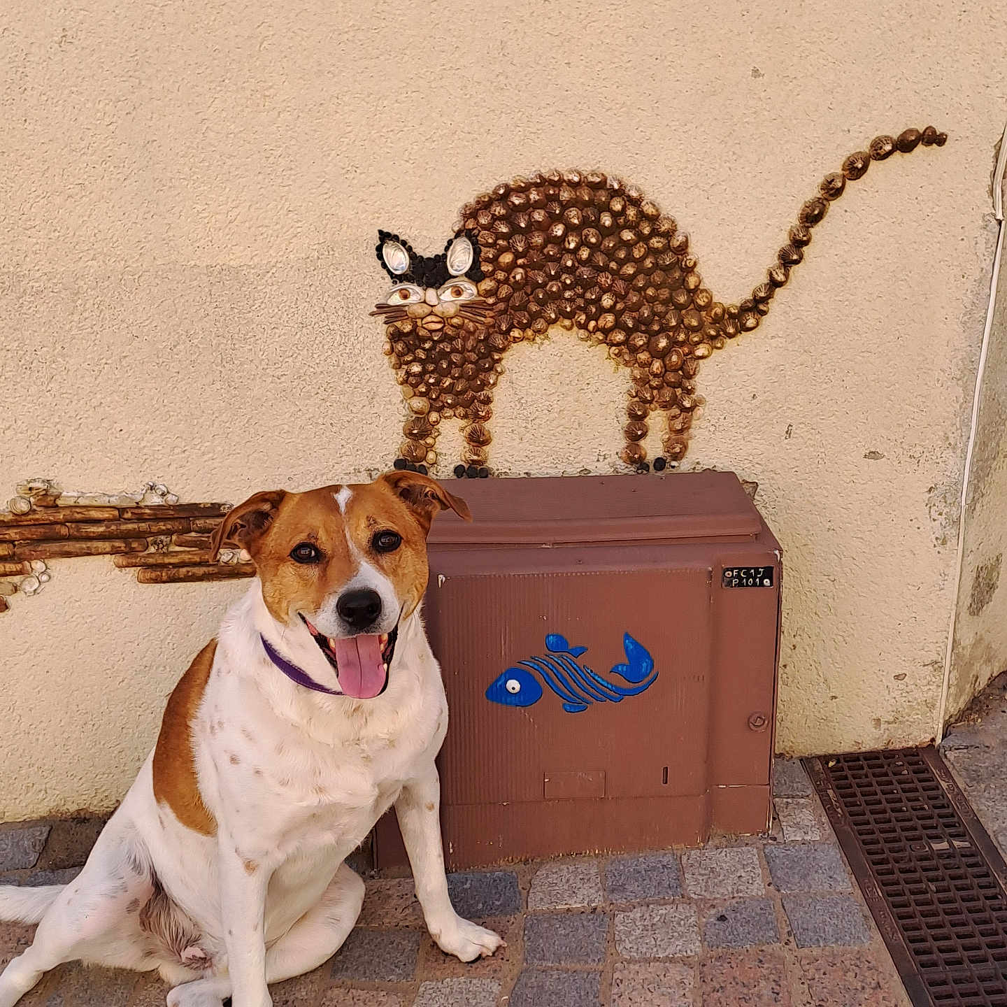 Guimli participe au concours pour gagner de l'argent avec cette photo : dog, cat_art, animal, pet, sitting, smiling, happy, outdoor, portrait, brown_and_white, collar, tongue, wall, mural, sculpture, utility_box, fish, pavement, drain, textured_background