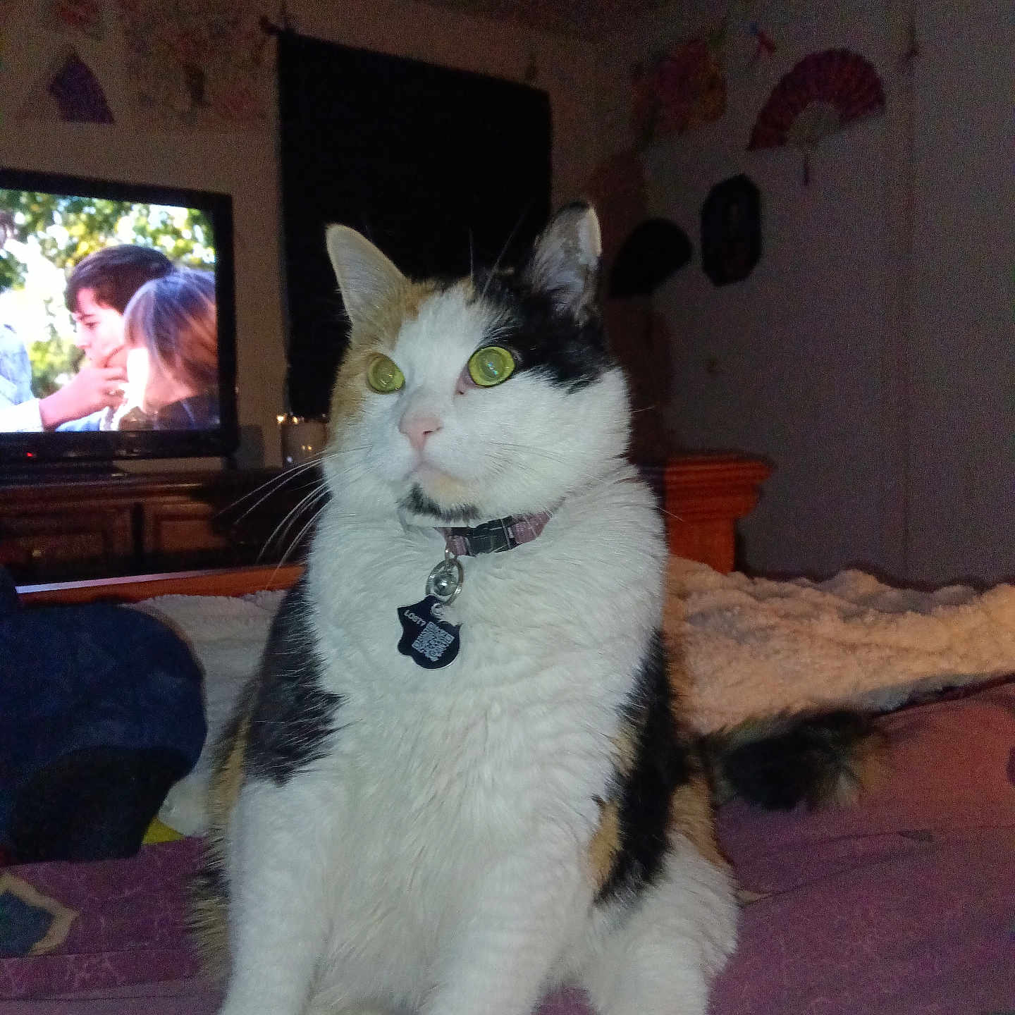 Callie