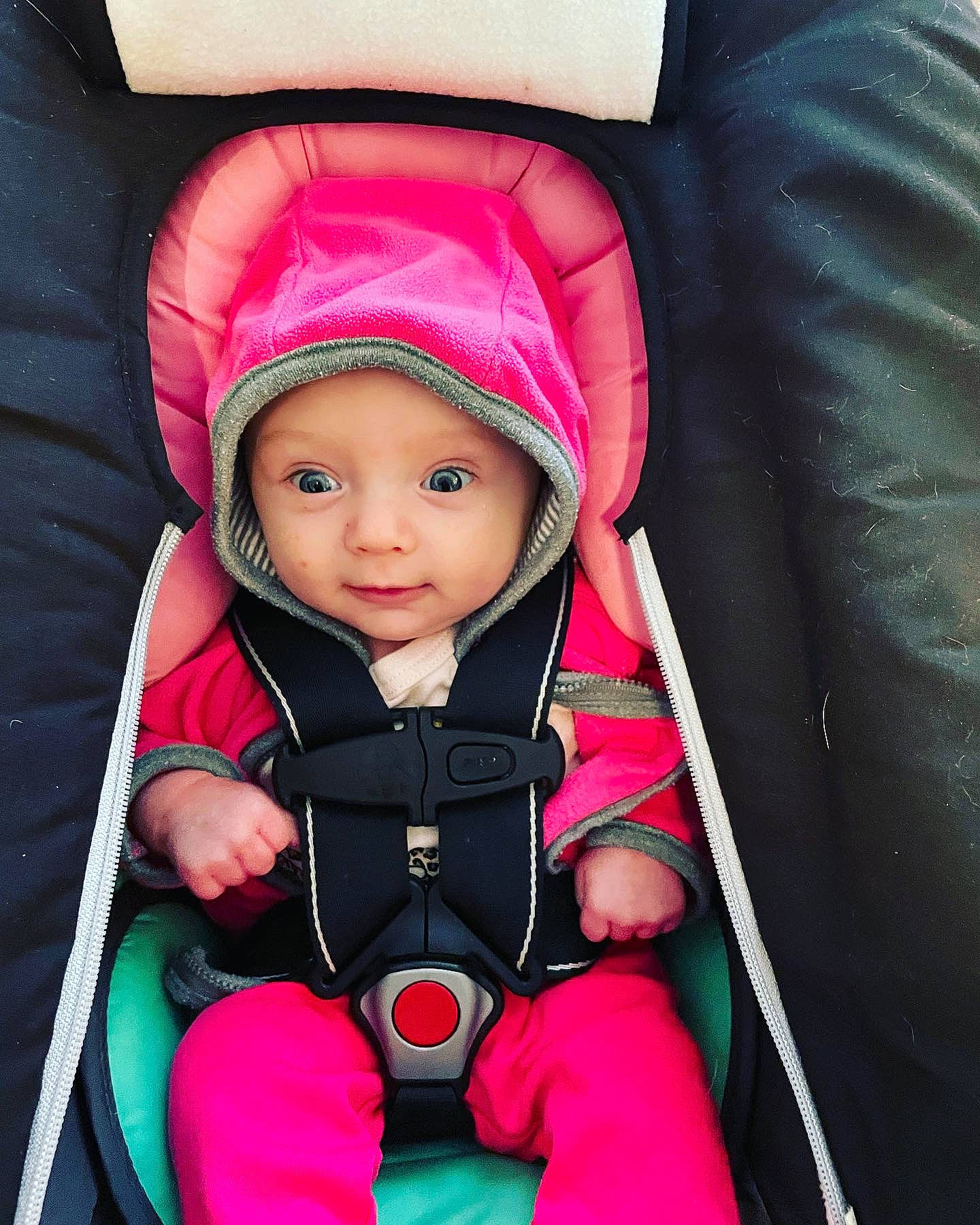 Alivia is registered to the contest to win money with this photo: auto_part, baby, baby_carriage, baby_products, baby_safety, bag, car_seat, child, comfort, cool, electric_blue, fashion_accessory, fun, headwear, magenta, outerwear, person, product, sitting, toddler