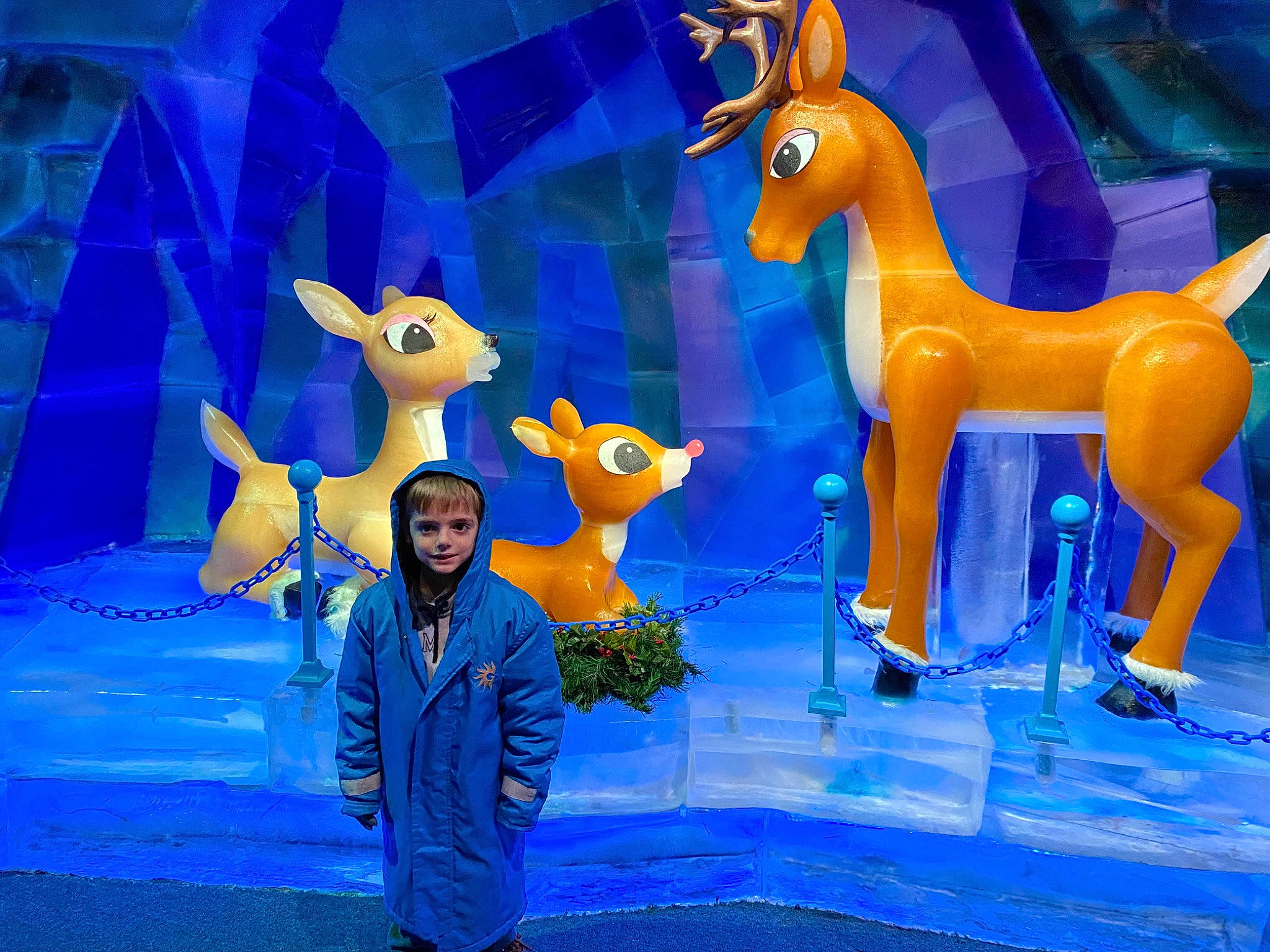 Eli is registered to the contest to win money with this photo: animated_cartoon, animation, art, blue, cartoon, electric_blue, event, fawn, fictional_character, freezing, fun, illustration, llama, mammal, organism, pack_animal, painting, person, stallion, visual_arts